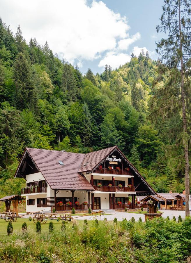 Pensiunea Agroturistica Casa Maria Rodna 외부 사진