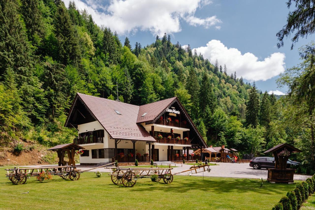 Pensiunea Agroturistica Casa Maria Rodna 외부 사진